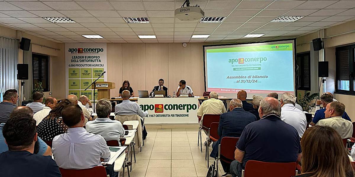 Apo Conerpo: ritorno alla normalità produttiva, conferimenti + 34% e fatturato +13%